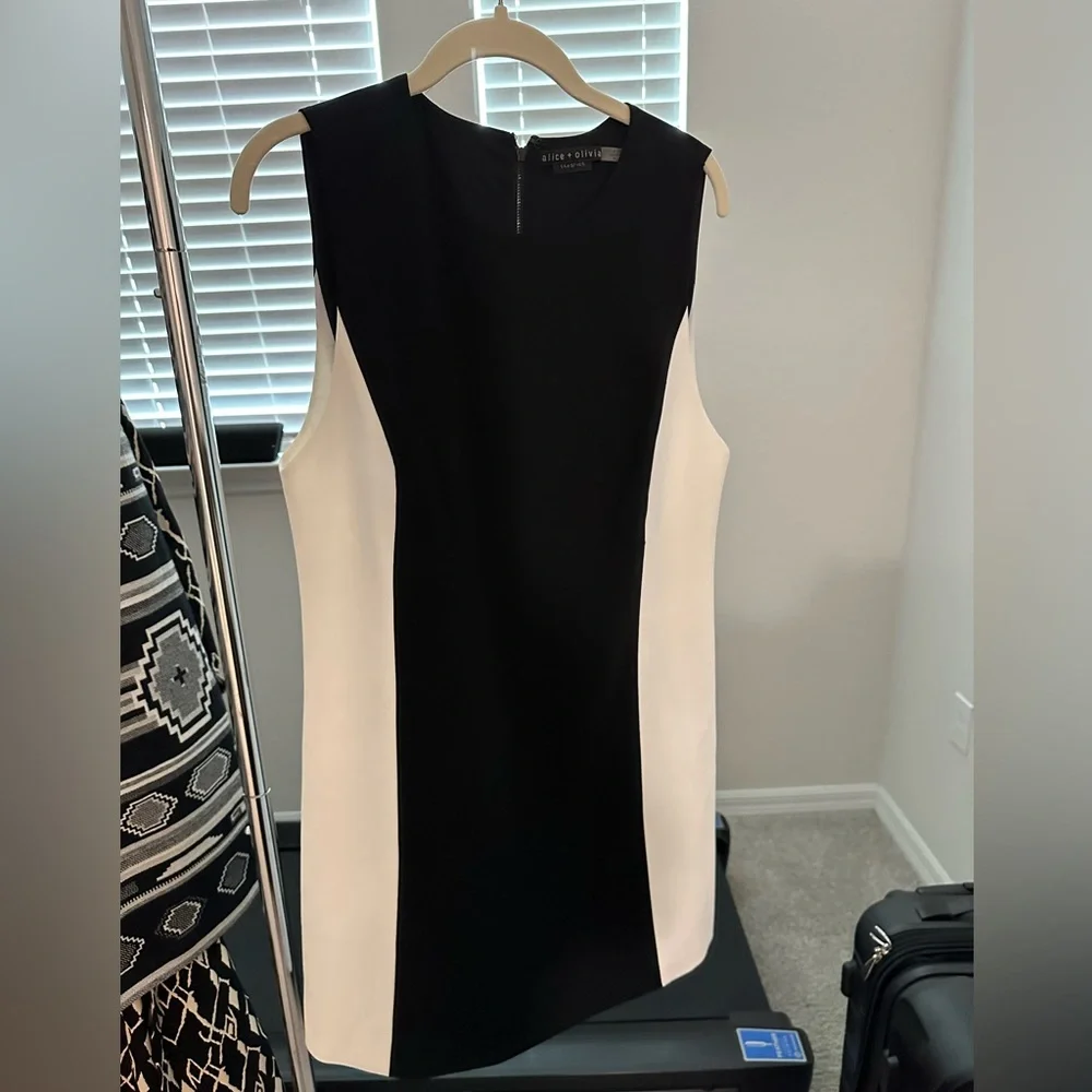 Alice & Olivia Coley Princess Dress - Picture 3 of 5